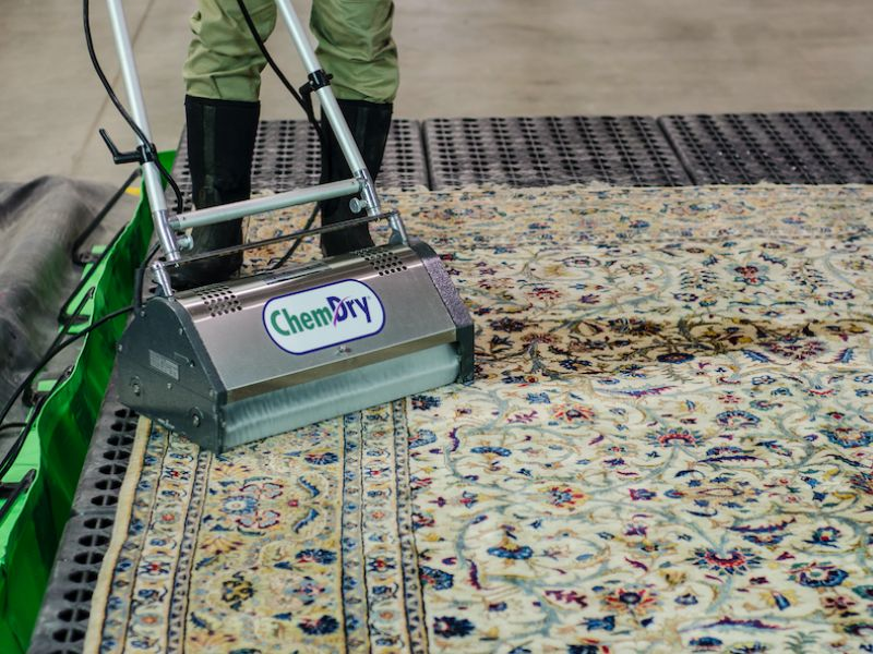 Area Rug Cleaning Area Rug Cleaning
