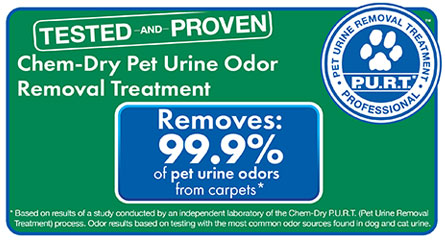 Pet Urine Removal Treatment by Chem-Dry Removes 99.9% of Pet Urine Odor and 99.2% of Pet Urine Bacteria