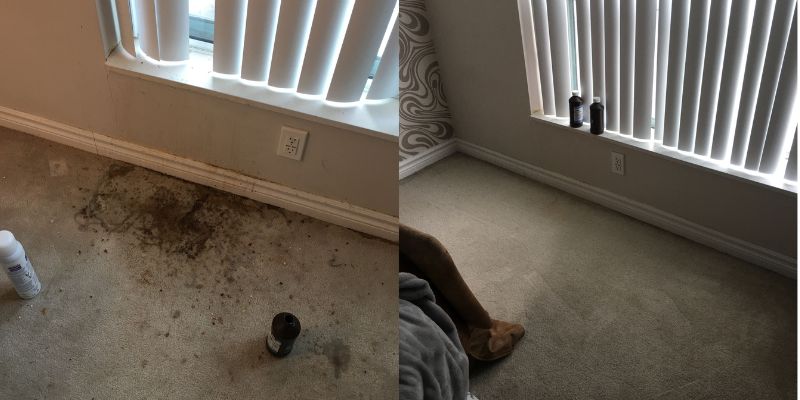 Before and After carpet cleaning in Mississauga
