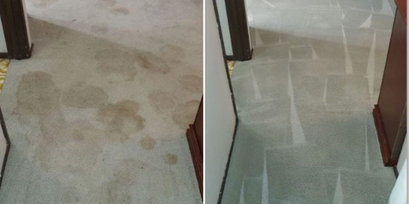 Before and After carpet cleaning in Mississauga