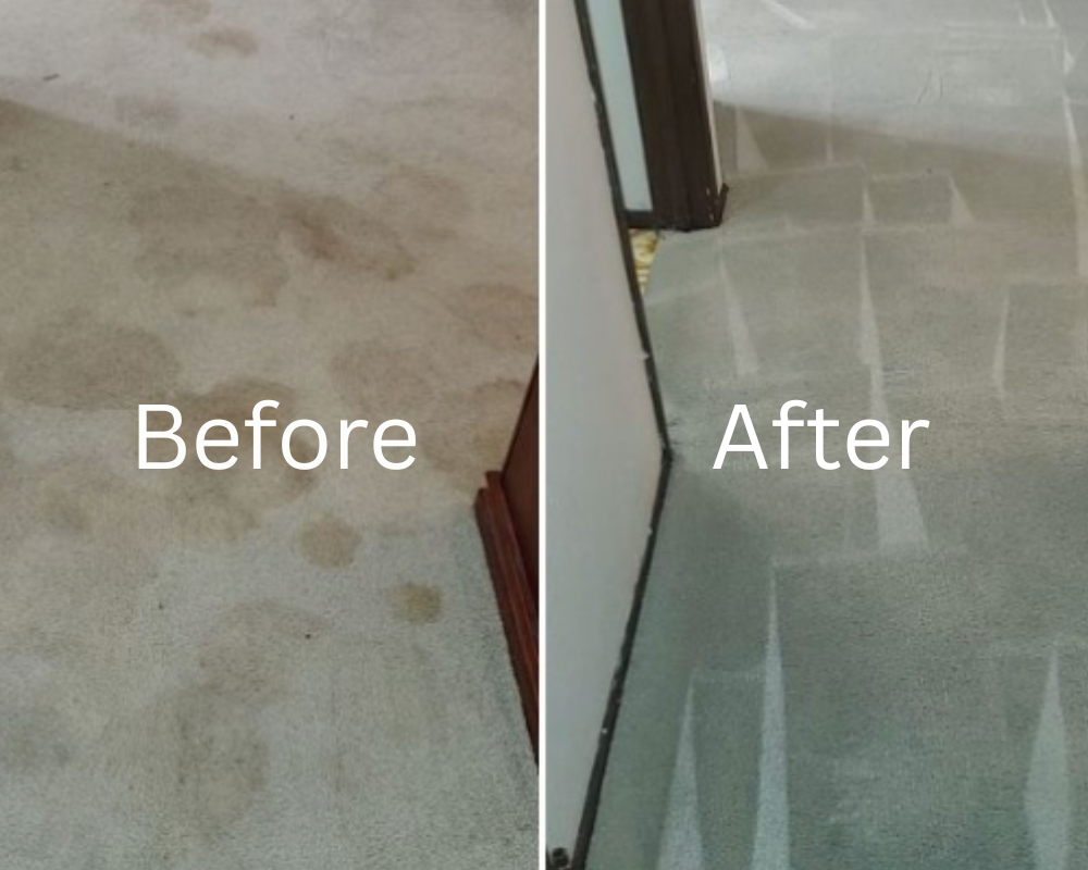 Before & After carpet cleaning in Brampton