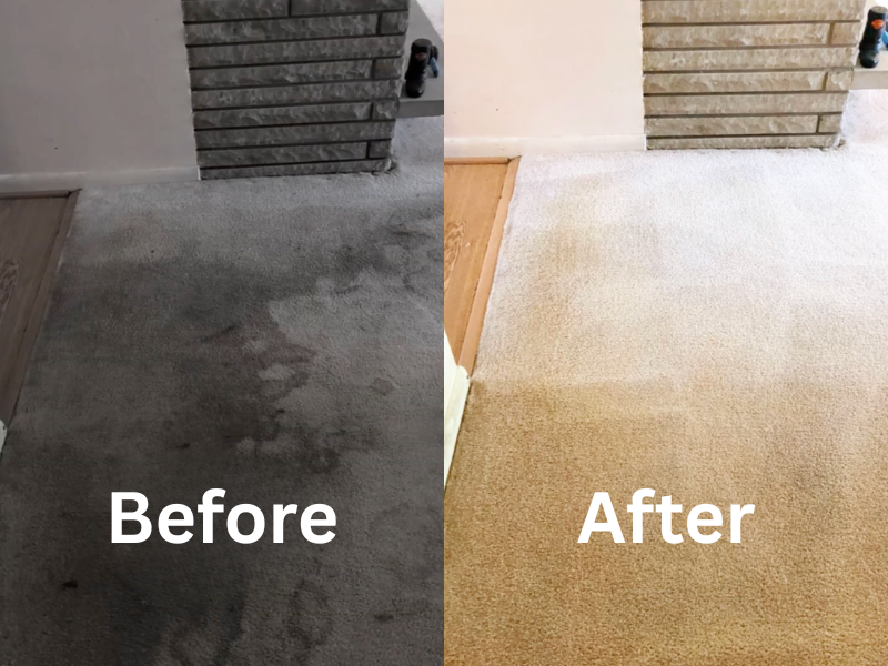 Before & After carpet cleaning from Green Leaf Chem-Dry in Mississauga